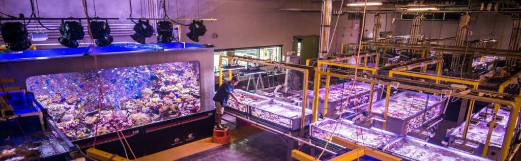 National Sea Simulation (SeaSim)
