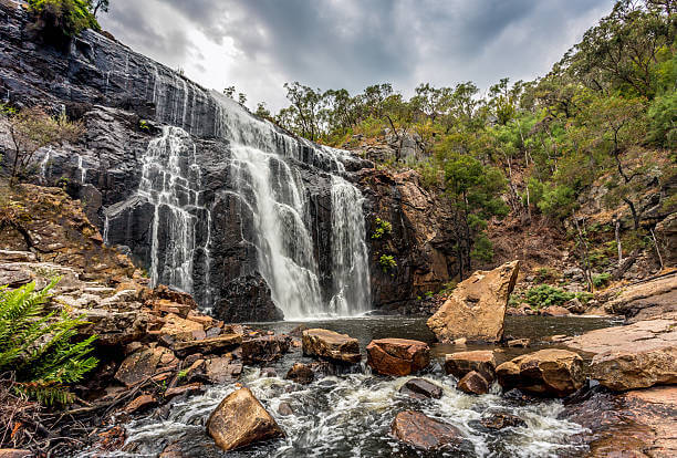 Gariwerd Projects - GPT Trail Heads Development & Mackenzie Falls ...